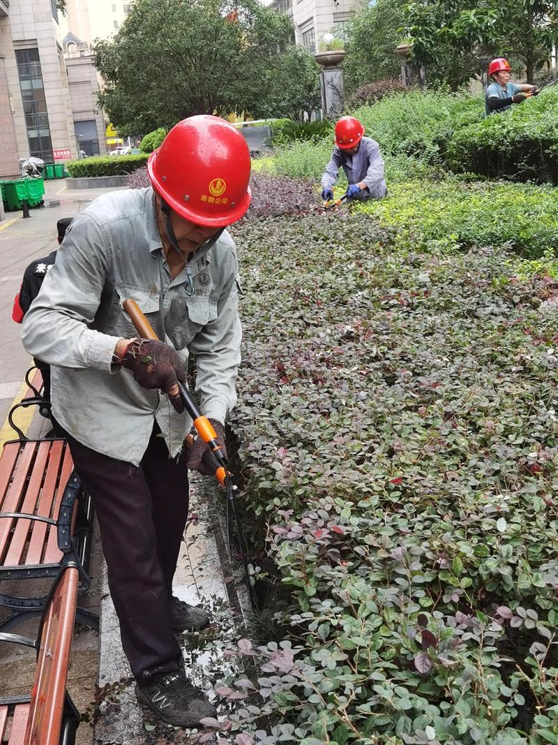 如何为写字楼物业注入活力——提高物业管理效能的技巧